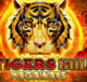 8 Tigers Gold Megaways